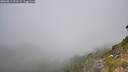 ./images/calvert/foggy-cove/20260811/foggy-cove20260811_121501M.jpg