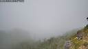 ./images/calvert/foggy-cove/20260811/foggy-cove20260811_122001M.jpg