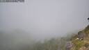 ./images/calvert/foggy-cove/20260811/foggy-cove20260811_122502M.jpg