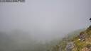 ./images/calvert/foggy-cove/20260811/foggy-cove20260811_123001M.jpg