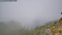 ./images/calvert/foggy-cove/20260811/foggy-cove20260811_123502M.jpg