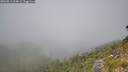 ./images/calvert/foggy-cove/20260811/foggy-cove20260811_124001M.jpg