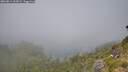./images/calvert/foggy-cove/20260811/foggy-cove20260811_124501M.jpg
