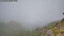 ./images/calvert/foggy-cove/20260811/foggy-cove20260811_125501M.jpg