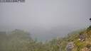./images/calvert/foggy-cove/20260811/foggy-cove20260811_130501M.jpg