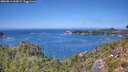 ./images/calvert/foggy-cove/20260811/foggy-cove20260811_133001M.jpg