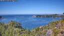 ./images/calvert/foggy-cove/20260811/foggy-cove20260811_133501M.jpg