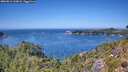 ./images/calvert/foggy-cove/20260811/foggy-cove20260811_134001M.jpg
