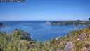 ./images/calvert/foggy-cove/20260811/foggy-cove20260811_135002M.jpg