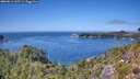 ./images/calvert/foggy-cove/20260811/foggy-cove20260811_135501M.jpg