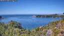 ./images/calvert/foggy-cove/20260811/foggy-cove20260811_140002M.jpg
