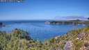 ./images/calvert/foggy-cove/20260811/foggy-cove20260811_140502M.jpg