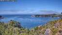 ./images/calvert/foggy-cove/20260811/foggy-cove20260811_141001M.jpg