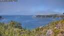 ./images/calvert/foggy-cove/20260811/foggy-cove20260811_141501M.jpg
