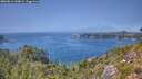 ./images/calvert/foggy-cove/20260811/foggy-cove20260811_144001M.jpg