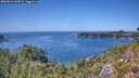 ./images/calvert/foggy-cove/20260811/foggy-cove20260811_144501M.jpg