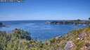 ./images/calvert/foggy-cove/20260811/foggy-cove20260811_145001M.jpg