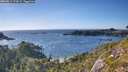 ./images/calvert/foggy-cove/20260811/foggy-cove20260811_174501M.jpg