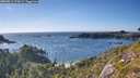 ./images/calvert/foggy-cove/20260811/foggy-cove20260811_175002M.jpg
