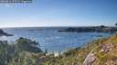 ./images/calvert/foggy-cove/20260811/foggy-cove20260811_175501M.jpg