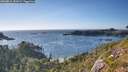 ./images/calvert/foggy-cove/20260811/foggy-cove20260811_181001M.jpg