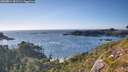./images/calvert/foggy-cove/20260811/foggy-cove20260811_181502M.jpg