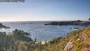 ./images/calvert/foggy-cove/20260811/foggy-cove20260811_182502M.jpg
