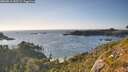 ./images/calvert/foggy-cove/20260811/foggy-cove20260811_183501M.jpg