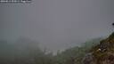 ./images/calvert/foggy-cove/20260812/foggy-cove20260812_055001M.jpg