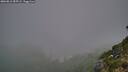 ./images/calvert/foggy-cove/20260812/foggy-cove20260812_055502M.jpg