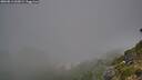 ./images/calvert/foggy-cove/20260812/foggy-cove20260812_060002M.jpg