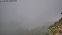 ./images/calvert/foggy-cove/20260812/foggy-cove20260812_061001M.jpg