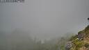 ./images/calvert/foggy-cove/20260812/foggy-cove20260812_061501M.jpg