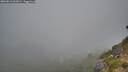 ./images/calvert/foggy-cove/20260812/foggy-cove20260812_062001M.jpg