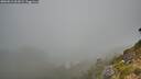 ./images/calvert/foggy-cove/20260812/foggy-cove20260812_063001M.jpg
