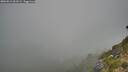 ./images/calvert/foggy-cove/20260812/foggy-cove20260812_063501M.jpg