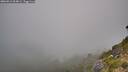 ./images/calvert/foggy-cove/20260812/foggy-cove20260812_064001M.jpg