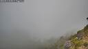 ./images/calvert/foggy-cove/20260812/foggy-cove20260812_064502M.jpg