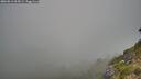 ./images/calvert/foggy-cove/20260812/foggy-cove20260812_065002M.jpg
