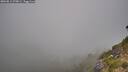 ./images/calvert/foggy-cove/20260812/foggy-cove20260812_070001M.jpg