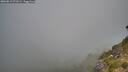 ./images/calvert/foggy-cove/20260812/foggy-cove20260812_071001M.jpg