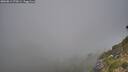 ./images/calvert/foggy-cove/20260812/foggy-cove20260812_072001M.jpg
