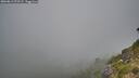 ./images/calvert/foggy-cove/20260812/foggy-cove20260812_072501M.jpg
