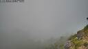 ./images/calvert/foggy-cove/20260812/foggy-cove20260812_073002M.jpg