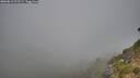 ./images/calvert/foggy-cove/20260812/foggy-cove20260812_073501M.jpg