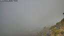 ./images/calvert/foggy-cove/20260812/foggy-cove20260812_074501M.jpg