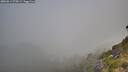 ./images/calvert/foggy-cove/20260812/foggy-cove20260812_075002M.jpg