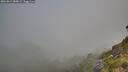 ./images/calvert/foggy-cove/20260812/foggy-cove20260812_080002M.jpg