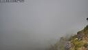 ./images/calvert/foggy-cove/20260812/foggy-cove20260812_081001M.jpg