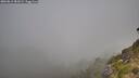 ./images/calvert/foggy-cove/20260812/foggy-cove20260812_082001M.jpg